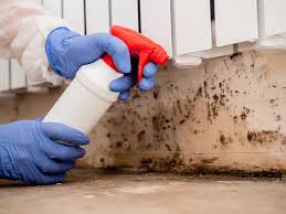 Best Crawl Space Mold Remediation in English Creek, NJ